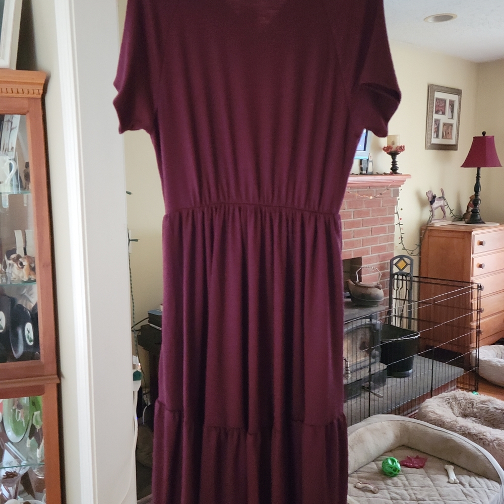 Burgundy Torrid Dress - Picture 3 of 4